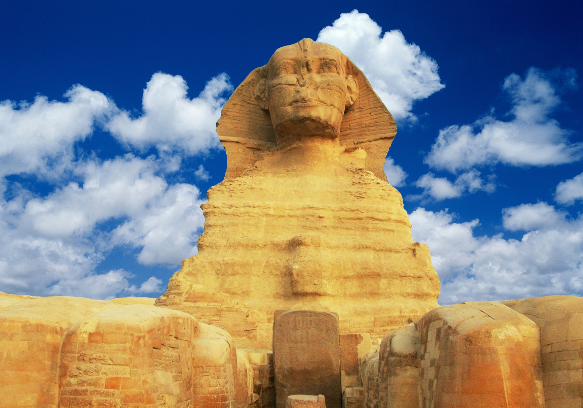 Egyptian pharaoh